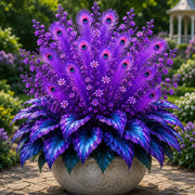 View 🔥LAST DAY SALE 49% OFF-🏠🤗 Peacock Flame Hosta Seeds💥 Stunning Colors That Brighten Any Space image 1