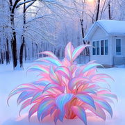 View Rainbow Haze Plant Seeds image 5