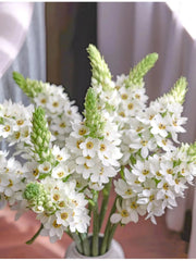 View 🌸 Sacred Heart Lily Bulbs – A Perennial Treasure for Your Garden image 4