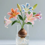 View 🌸 Water-Grown Lily – Fragrance & Elegance in a Glass! 🌿 image 1