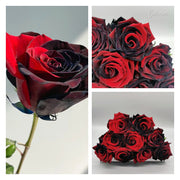 View 🌹Ecuadorian Roses - Rare Roses image 6