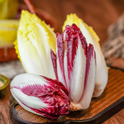 View European Chicory Seeds image 4