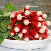 View Thumb Fruit Radish Seeds image 4
