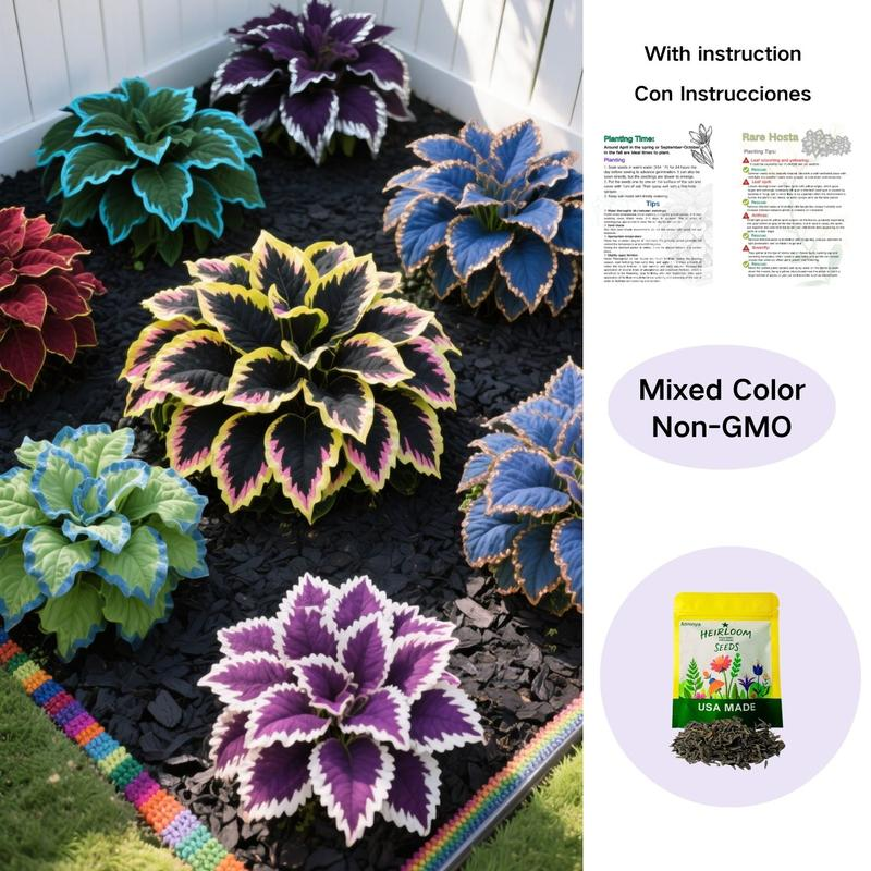 Muticolor Hosta Seeds-Perennial Shade Plant for Garden and Yard Plant🌈God's Artistic Canvas