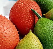 View Gac fruit seeds, Gac Melon Vine Momordica Cochinchinensis seeds image 5