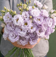 View 💐Lisianthus - A Sincere and Immutable Love image 3