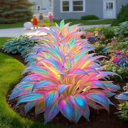 View Rainbow Haze Plant Seeds image 1