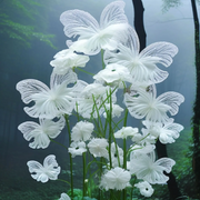 View White Butterfly Flower Seeds-Amazing Angel Butterfly Plant🔥 image 2