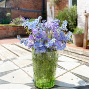 View Alpine Forget Me Not Mixed Seeds - Myosotis alpestris - Biennial Flower Seeds - Organic Seeds image 2