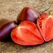 View Sgt. Pepper's Tomatoes Seeds - Heirloom image 6