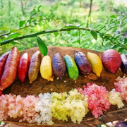 View Finger Lime Seeds-Citrus Australasica image 4