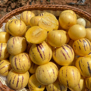 View Pepino melon seeds, melon pear or sweet cucumber exotic fruit, ginseng fruit seeds image 1