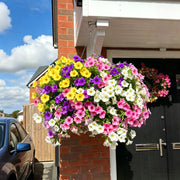 View 🔥Last Day 60% OFF🔥UV Resistant Artificial Petunias Flowers image 4