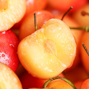 View Golden Cherry Seeds image 1