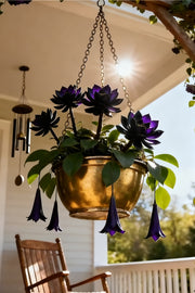 View 🌌💜 Shadow Essence Lotus – A Rare Beauty for Your Garden 🌸 image 2